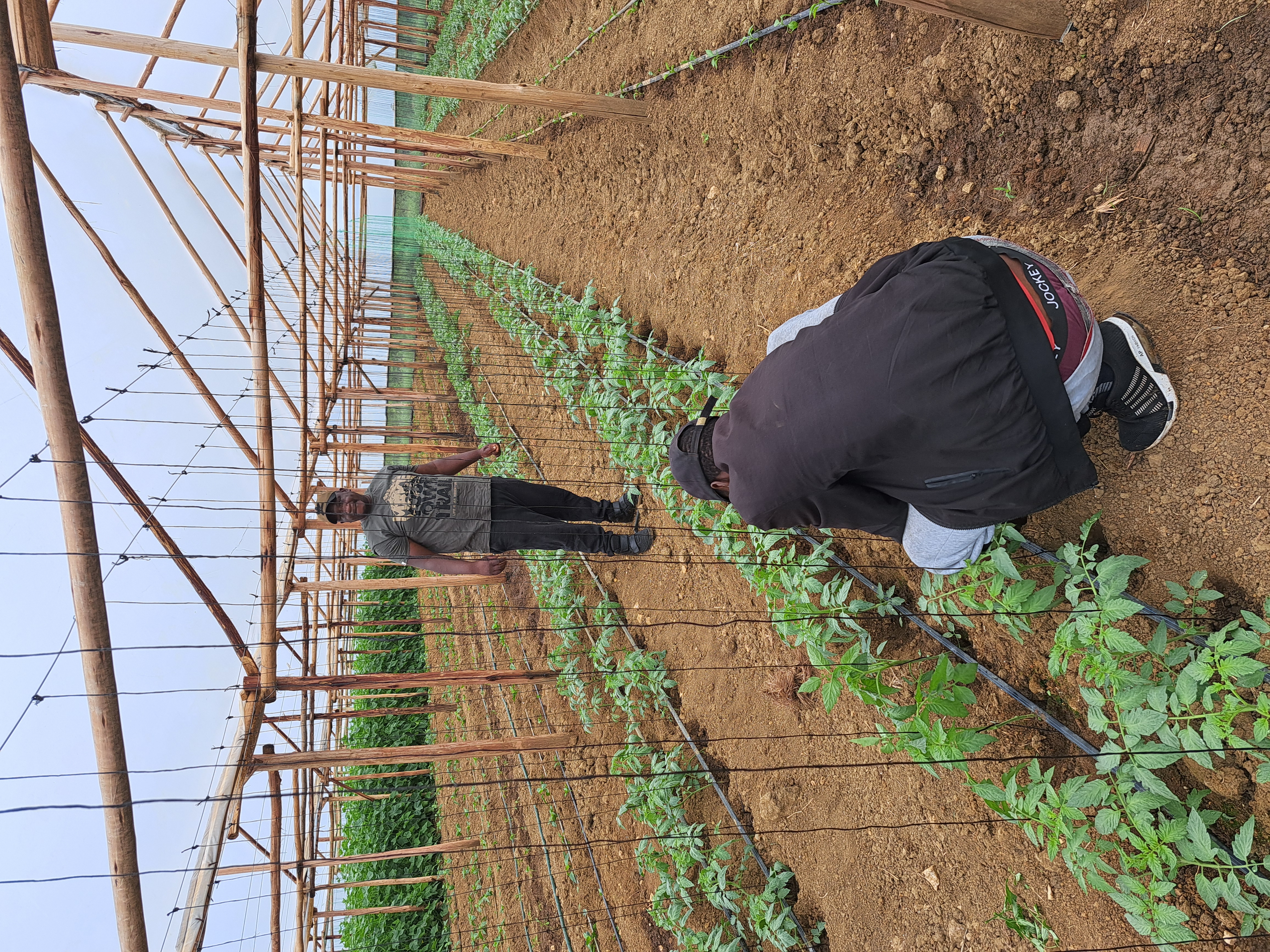Our team at work